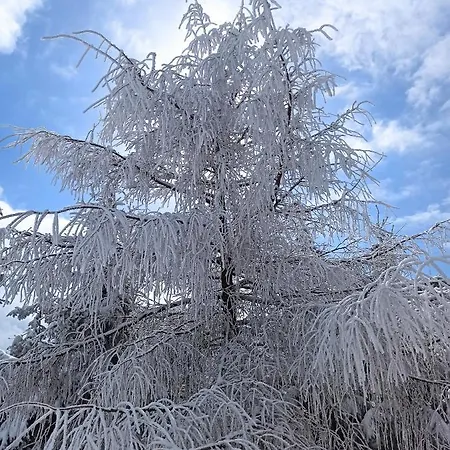 Szklarska Centrum * Шклярска-Поремба
